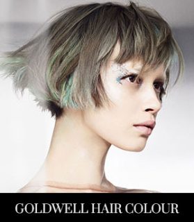 Goldwell Hair Colour Services