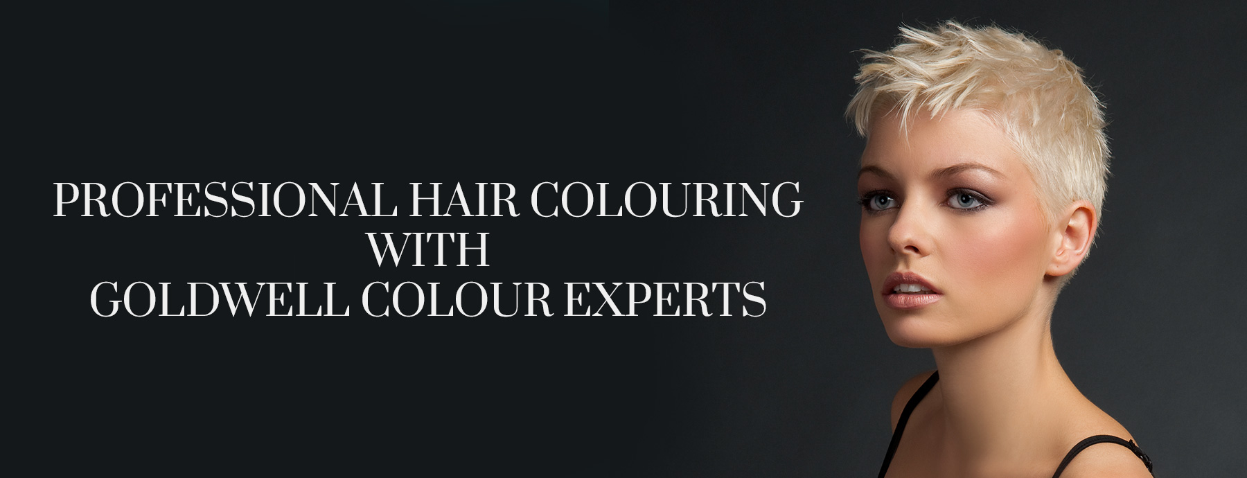 Hair Colour Hair Colour
