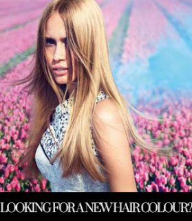 Looking for a new hair colour? We can help!