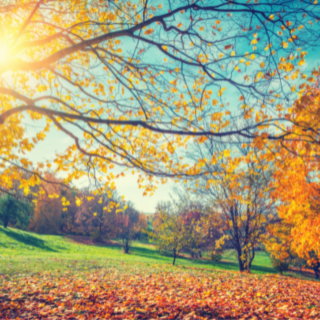 Autumn Hair Trends For 2024